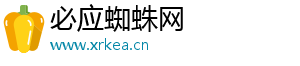必应蜘蛛网